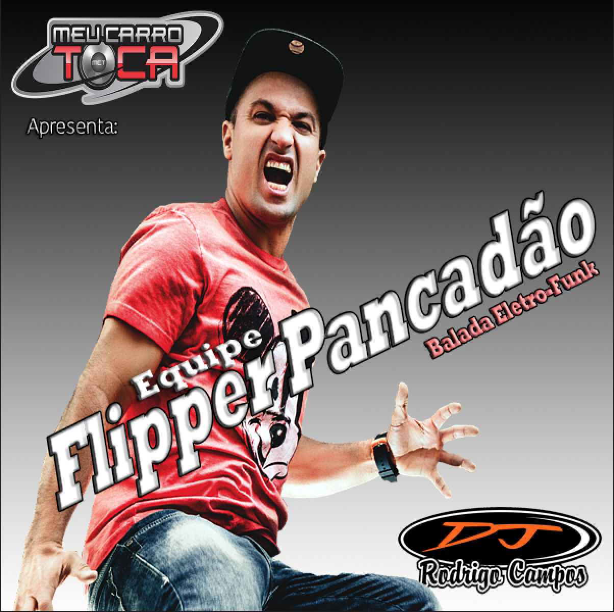 Flipper Pancadão Vol 01